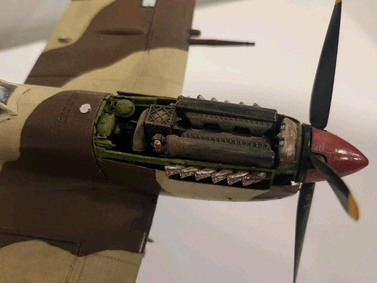 1/35 Curtiss P-40 Warhawk Desert Camo Built Model Aircraft