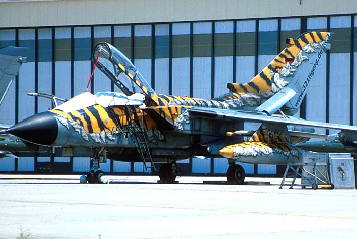 Franklin Mint Armour Panavia Tornado “NATO Tiger Meet” #B11E403 1:48 Scale