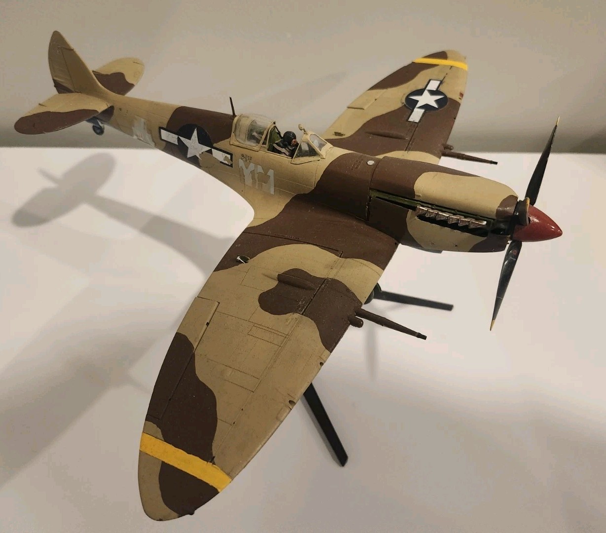 1/35 Curtiss P-40 Warhawk Desert Camo Built Model Aircraft